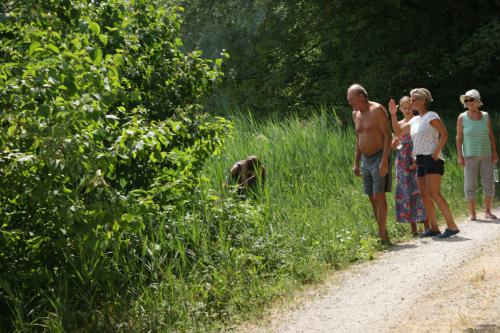 20230703-Bosseln-21